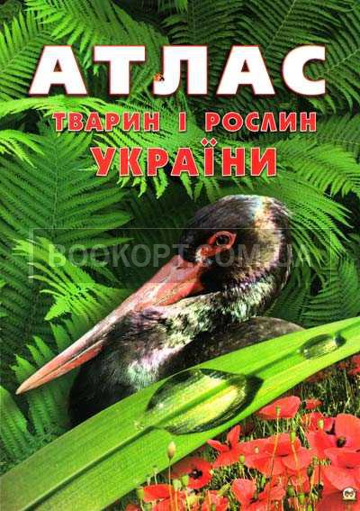 Атлас тварин і рослин України А4