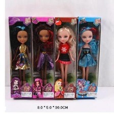 Лялька "Ever After High" 1698A / B / C / D (240шт / 2) 4 види, на шарнірах, в кор. 8 * 30 * 5см