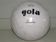 М'яч волейбольний GOLA 5001-1 A/73 (100шт) ПВХ