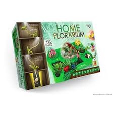 Безпечний освітній набір для вирощування рослин "HOME FLORARIUM" укр (5). Фото 2