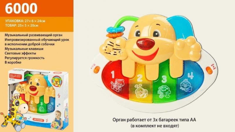 Муз.разв.орган  6000 (36шт/2) батар.звуки животных, рус, в кор. 27*24*6см