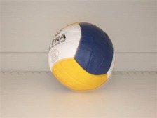 Мяч волейбольный PTC 7000 5004/7  50082 (60шт)