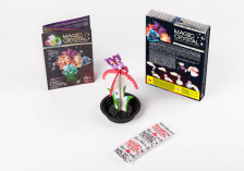 Набір для проведення дослідів "MAGIC CRYSTAL" (16), ОМС-01-01,02,03,04,05..08. Фото 17