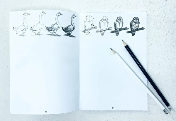 Набір креативної творчості " SKETCH BOOK" укр. (40), SB-01-02. Фото 4