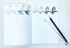 Набір креативної творчості " SKETCH BOOK" укр. (40), SB-01-02. Фото 4