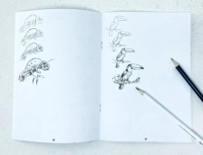 Набір креативної творчості " SKETCH BOOK" укр. (40), SB-01-02. Фото 5