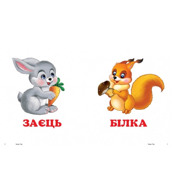 Навколишній світ Звірятка. Фото 2