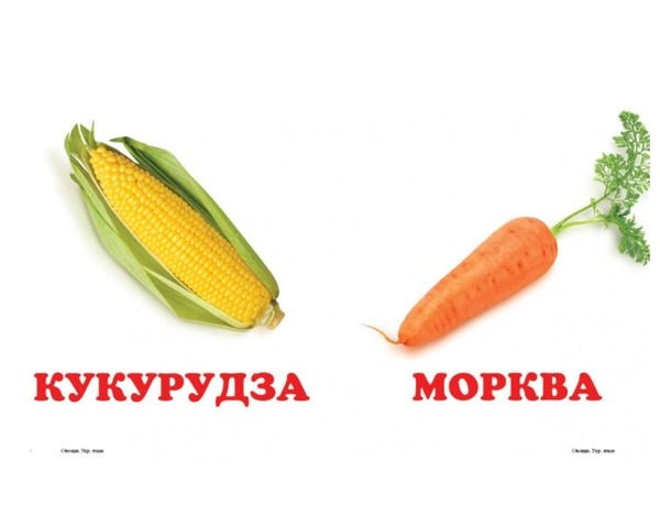 Навколишній світ Овочі. Фото 4