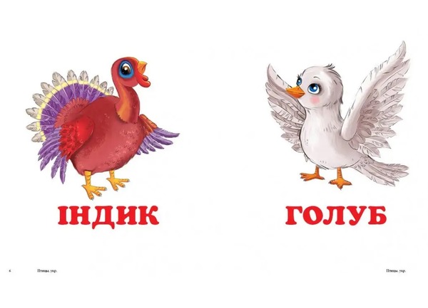 Навколишній світ Птахи. Фото 3