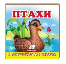 Навколишній світ Птахи