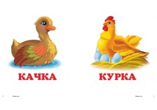 Навколишній світ Птахи. Фото 2