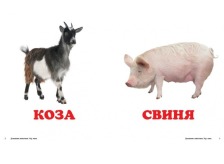 Навколишній світ Свійскі Тварини. Фото 2