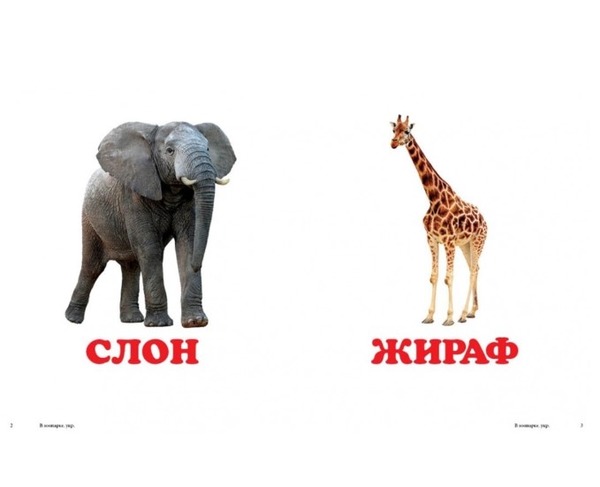 Навколишній світ У зоопарку. Фото 2