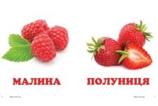 Навколишній світ Фрукти. Фото 2
