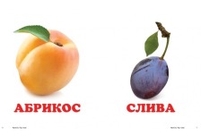 Навколишній світ Фрукти. Фото 3