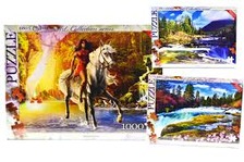 Пазли 1000 ел. с.8 (10)