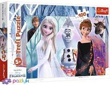 Пазли 16418 Зачарована країна/Крижане серце 100ел.