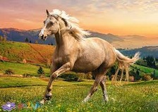 Пазли 37396 Галопом на закаті сонця 500ел.