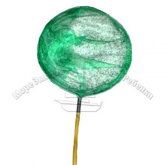 Сачок для метеликів M 0063 U / R (100шт) 2 кольори, 90-24см