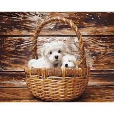 Картина 927 Песики в кошику 40*50см