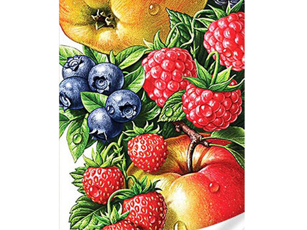 Алмазна картина 86862 Фрукти,ягоди 30*40см