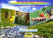 Дивовижний світ.Комах