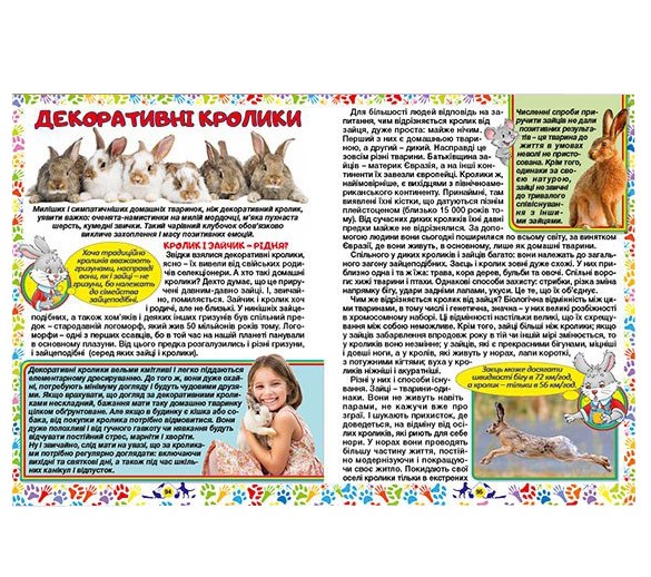 Домашні улюбленці. Енциклопедія для дітей. Глорія. Фото 4