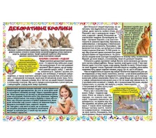 Домашні улюбленці. Енциклопедія для дітей. Глорія. Фото 4