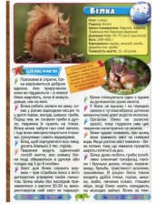 Енциклопедія про тварин Дивовижні факти Синя. Фото 3
