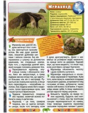 Енциклопедія про тварин дивовижні факти.Зелена. Глорія. Фото 4
