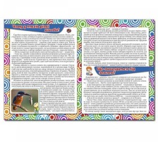 Енциклопедія Що? Як ?Чому? Глорія Синя. Фото 4