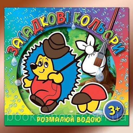 Загадкові кольори. Ведмедик, Іжачок, Котик, Мишеня, Слоненя, Черепаха